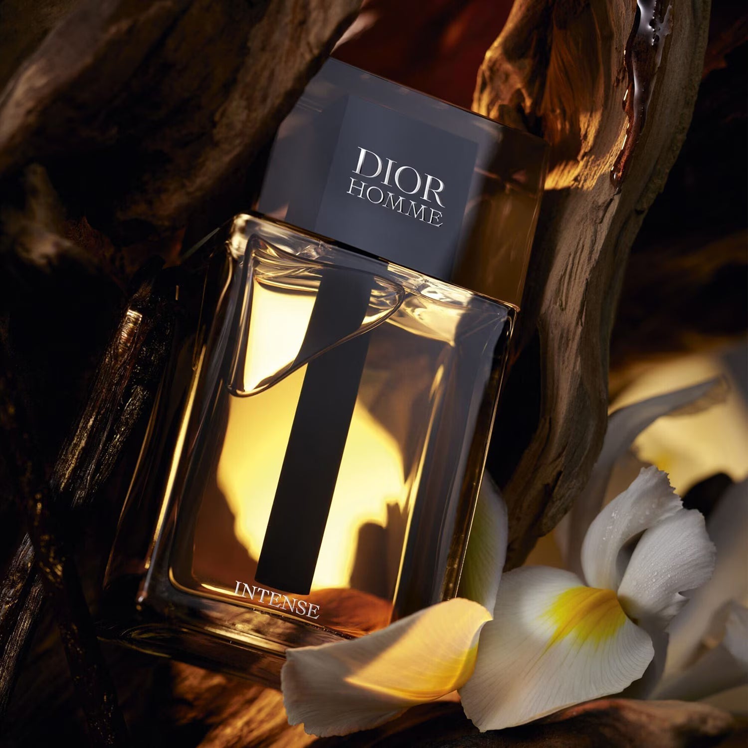 Profumi Dior HOMME INTENSE 100ml